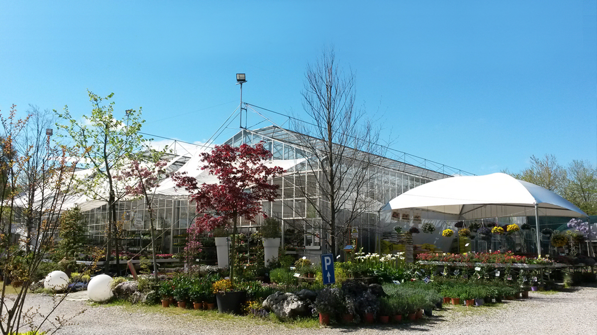 Storia Vivai Marchesan